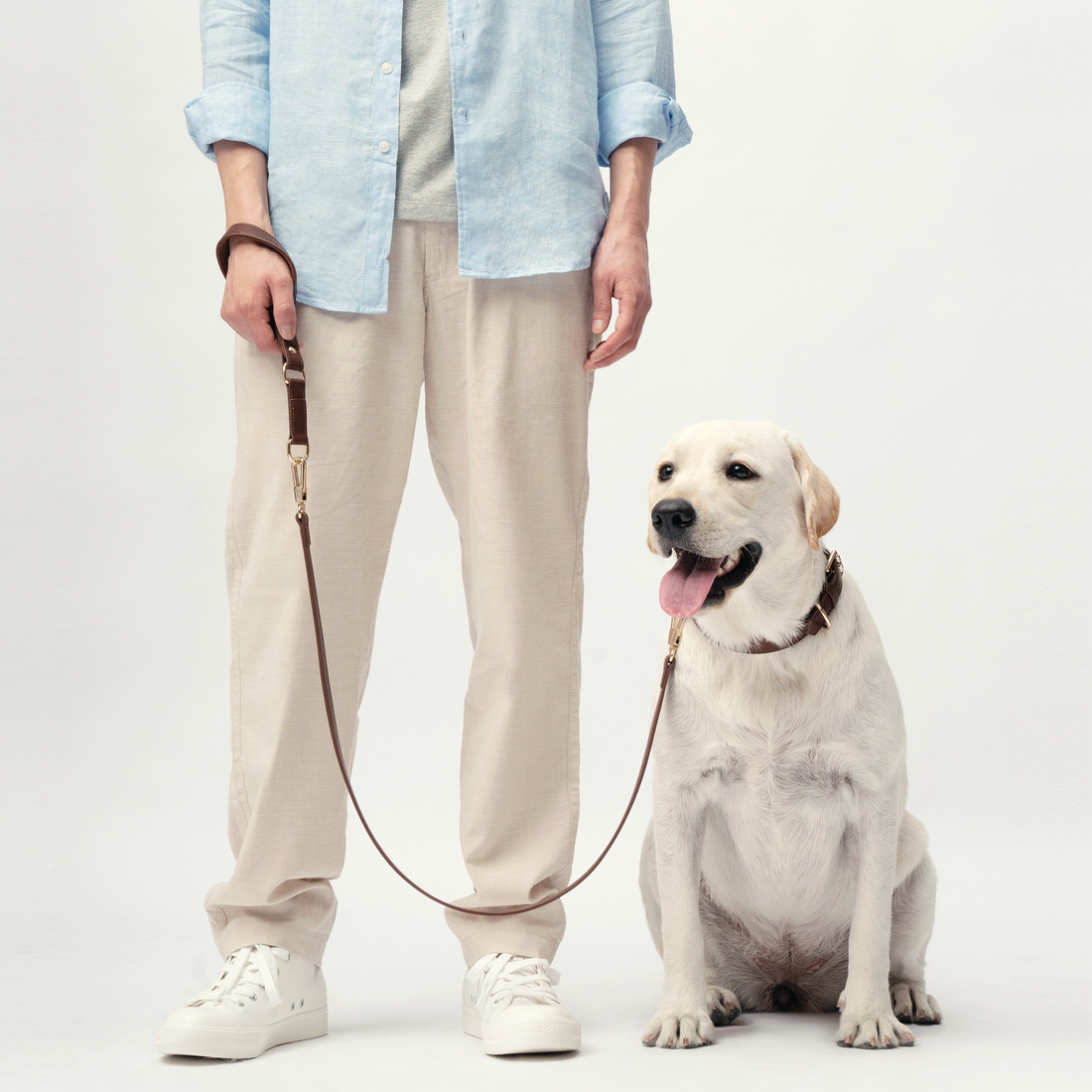 A Timeless Essential for Safe and Enjoyable Walks