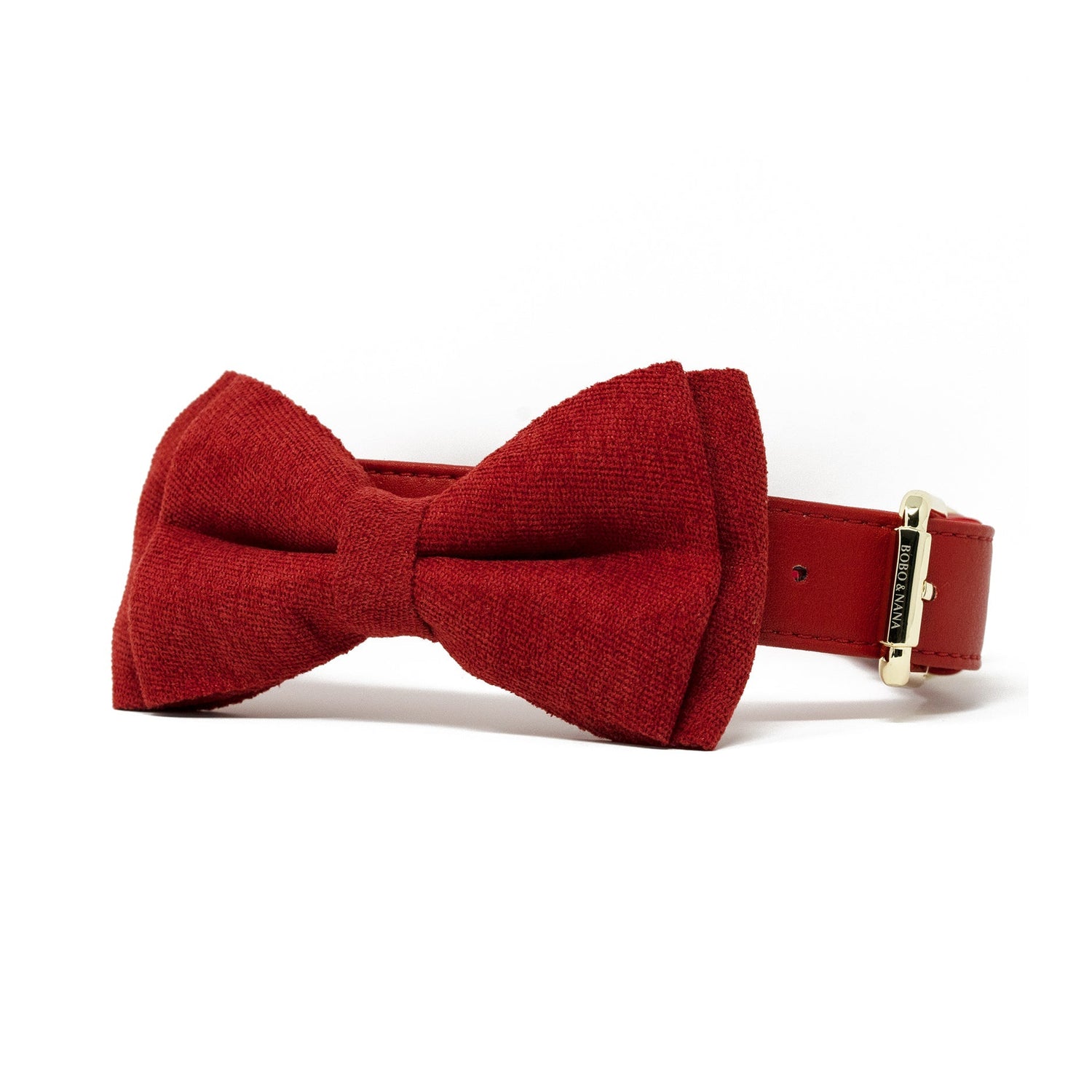 Bow Tie