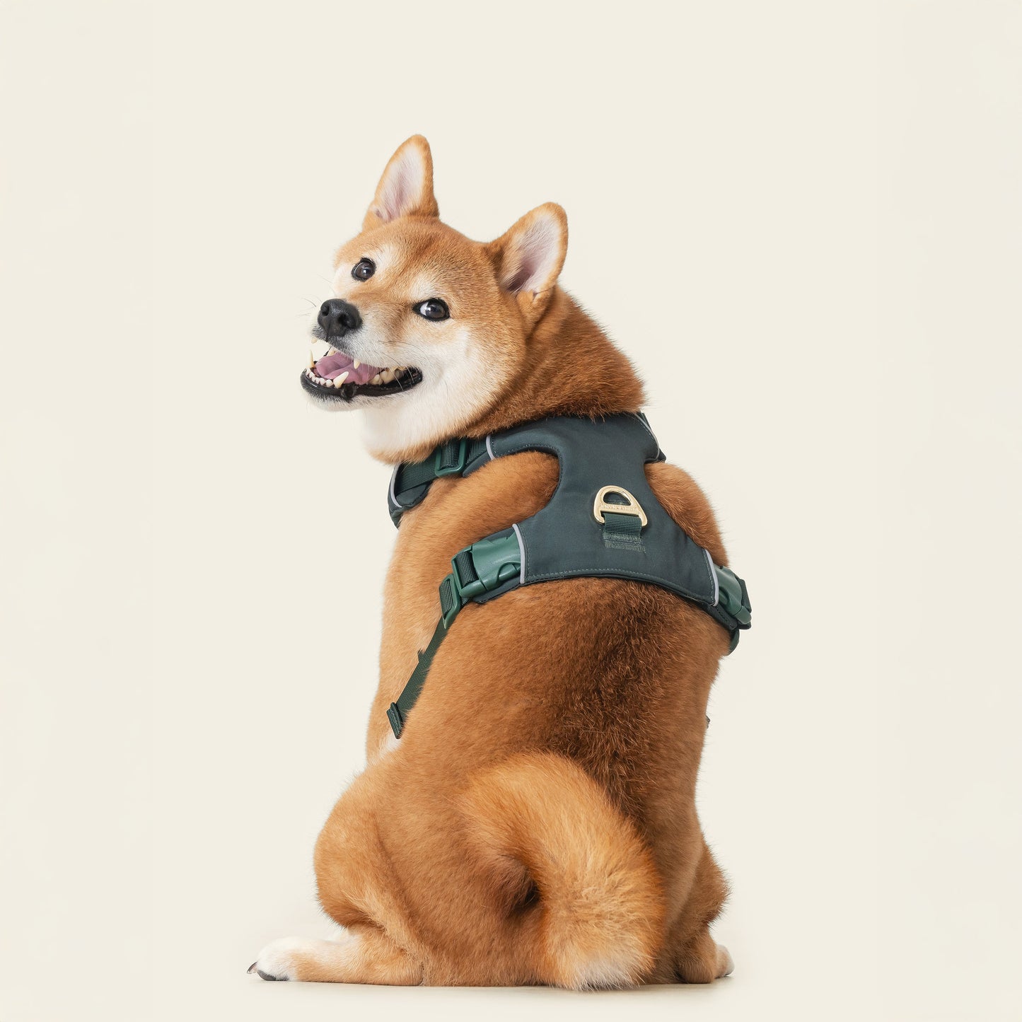 Harness- Forest Green