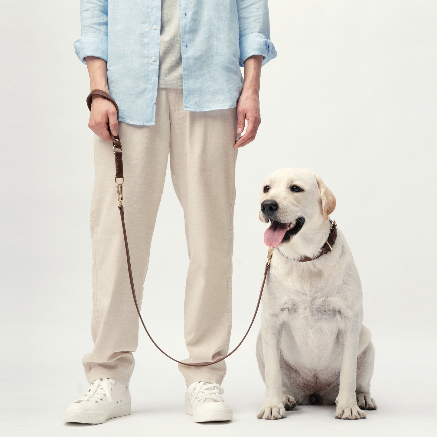 Classic Leash - Chocolate Brown